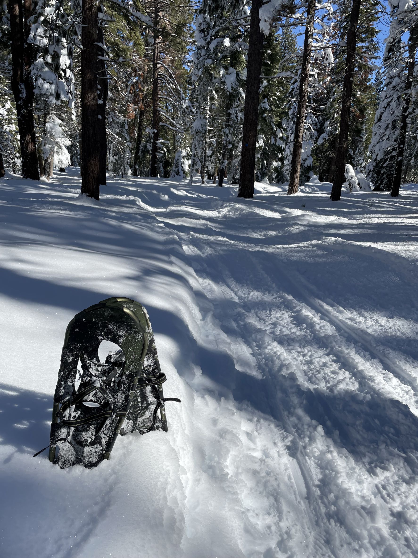 snowshoes in snow